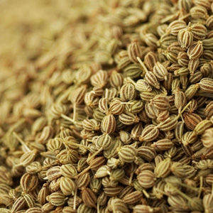 Celery Seeds (Ajmoda)