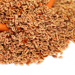 Psyllium Seed