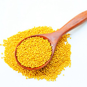 Yellow Mustard Seed